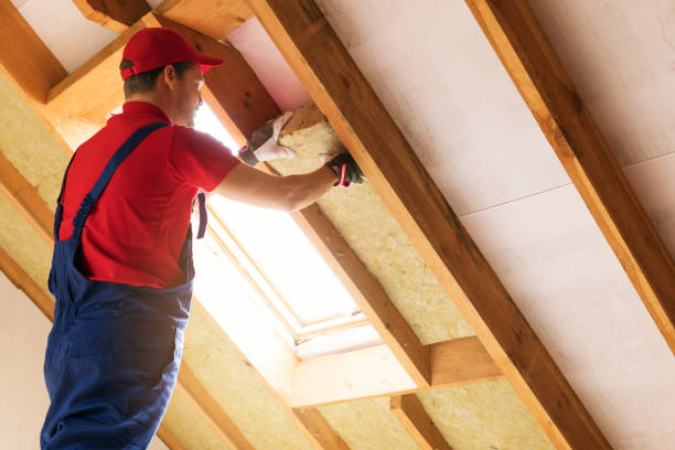 Types of Insulation We Offer in Oswego, KS